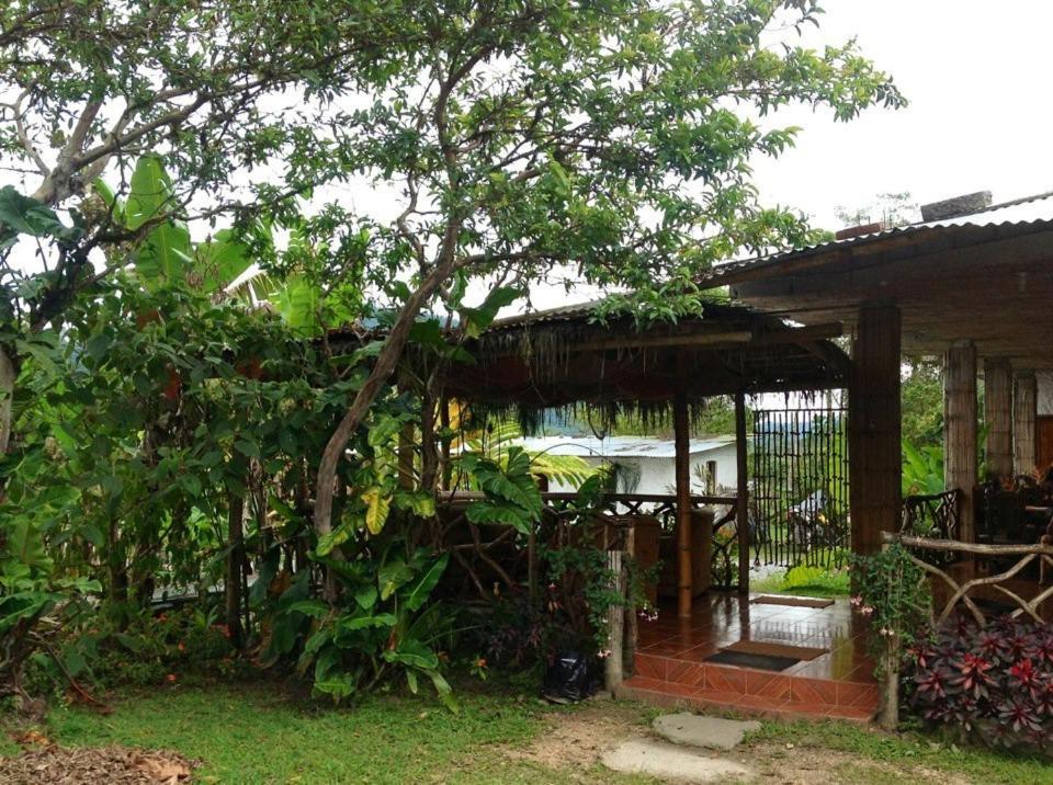 Hosteria Mindo Samay Juku Bagian luar foto