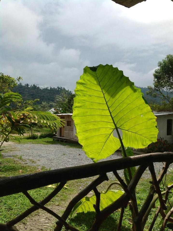 Hosteria Mindo Samay Juku Bagian luar foto